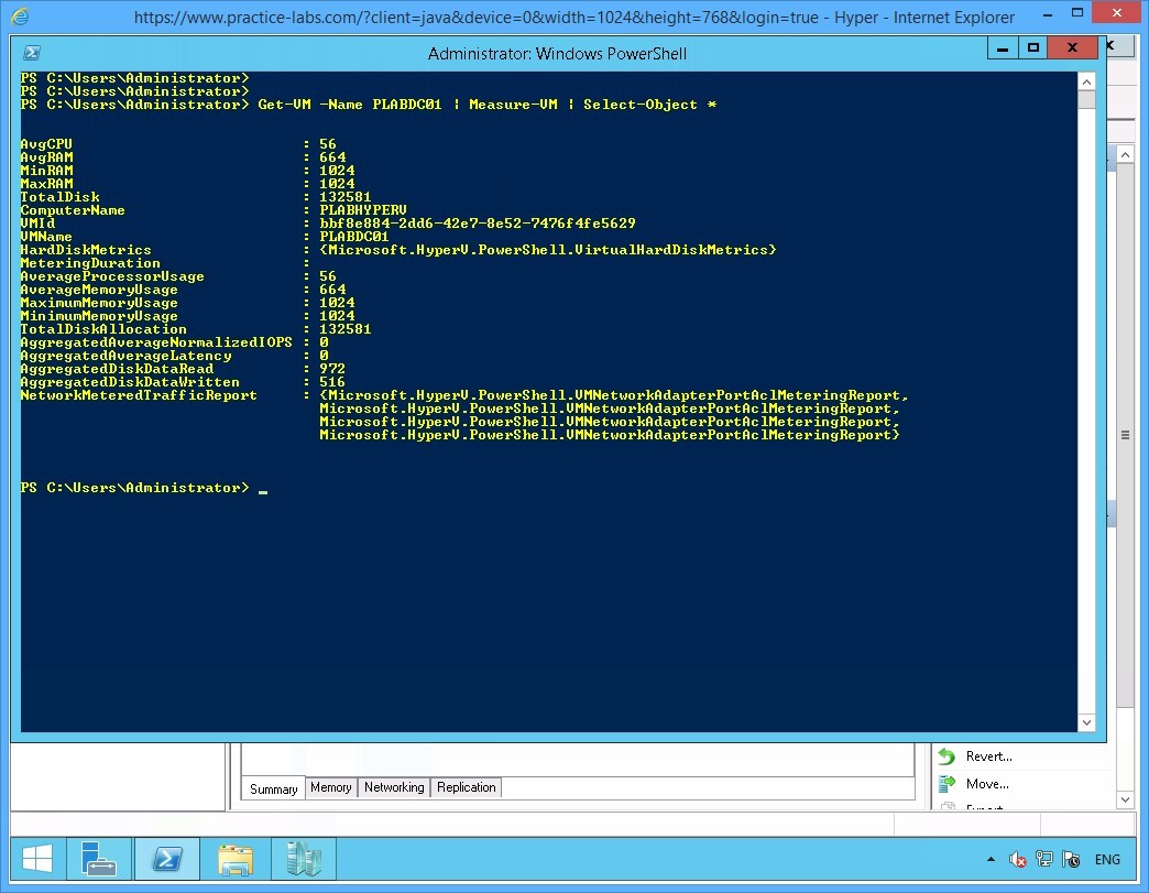 Figure 1.23 Screenshot of the device PLABHYPERV